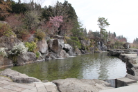 那須高原 清流の里6