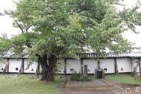 白河小峰城5