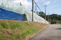 亀久観光果樹園