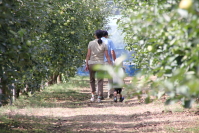 亀久観光果樹園2