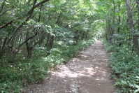 那須平成の森4