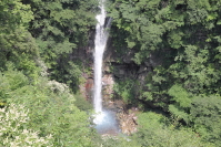 那須平成の森5