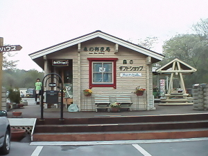 フィンランドの森2