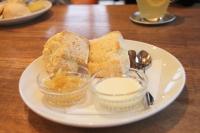 那須高原HERB's5