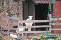 那須高原HERB's6