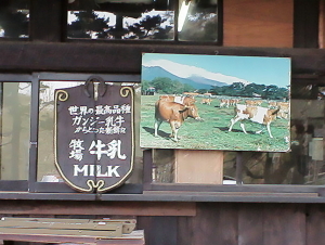 南ケ丘牧場5