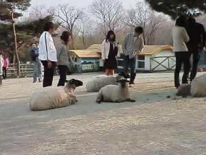 南ケ丘牧場