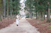 金丸八幡宮 那須神社1