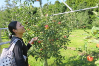 大野りんご園_那須観光で遊ぶ