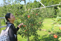 大野りんご園