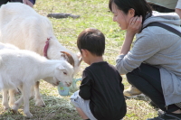 創造の森・農園レストラン３