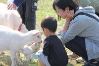 農園レストラン追加