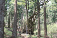 写真庫_那須観光その他の情報