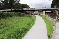 NASU 661 WINE HILLS5