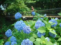 黒羽城址公園6