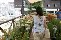 ゆりパーク5