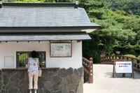 木の葉化石園1