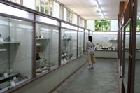 木の葉化石園5
