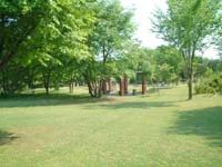 那須野が原公園4