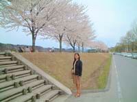 那須高原で桜を見る！１