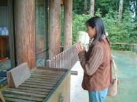 乃木神社4