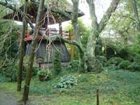 光丸山法輪寺6