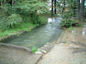 乃木神社６