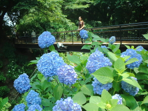 黒羽城址公園６