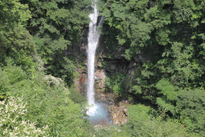 那須平成の森５