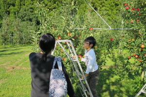 大野りんご園３